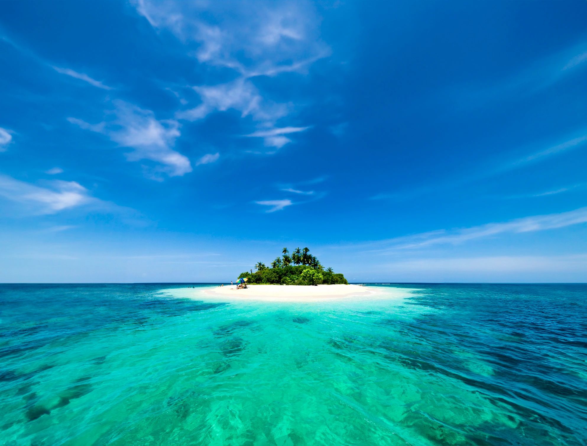 Remote white-sand beach with coconut trees